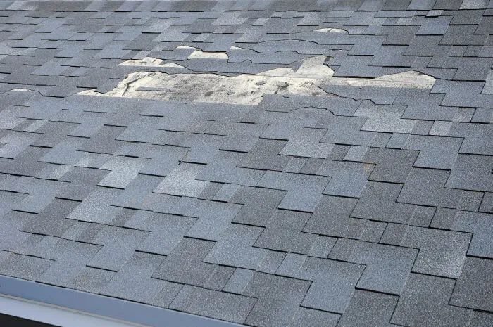 How Often Should I Have My Shingle Roof Inspected