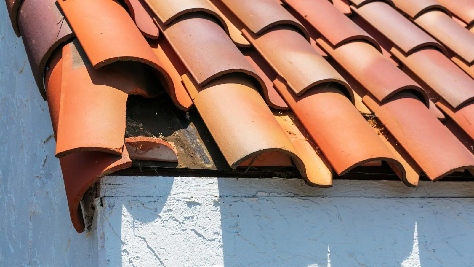 Pre-Monsoon Roof Checkup: What to Look For