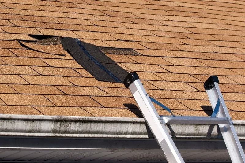 The signs of roof damage on a shingle roof include torn or missing shingles.