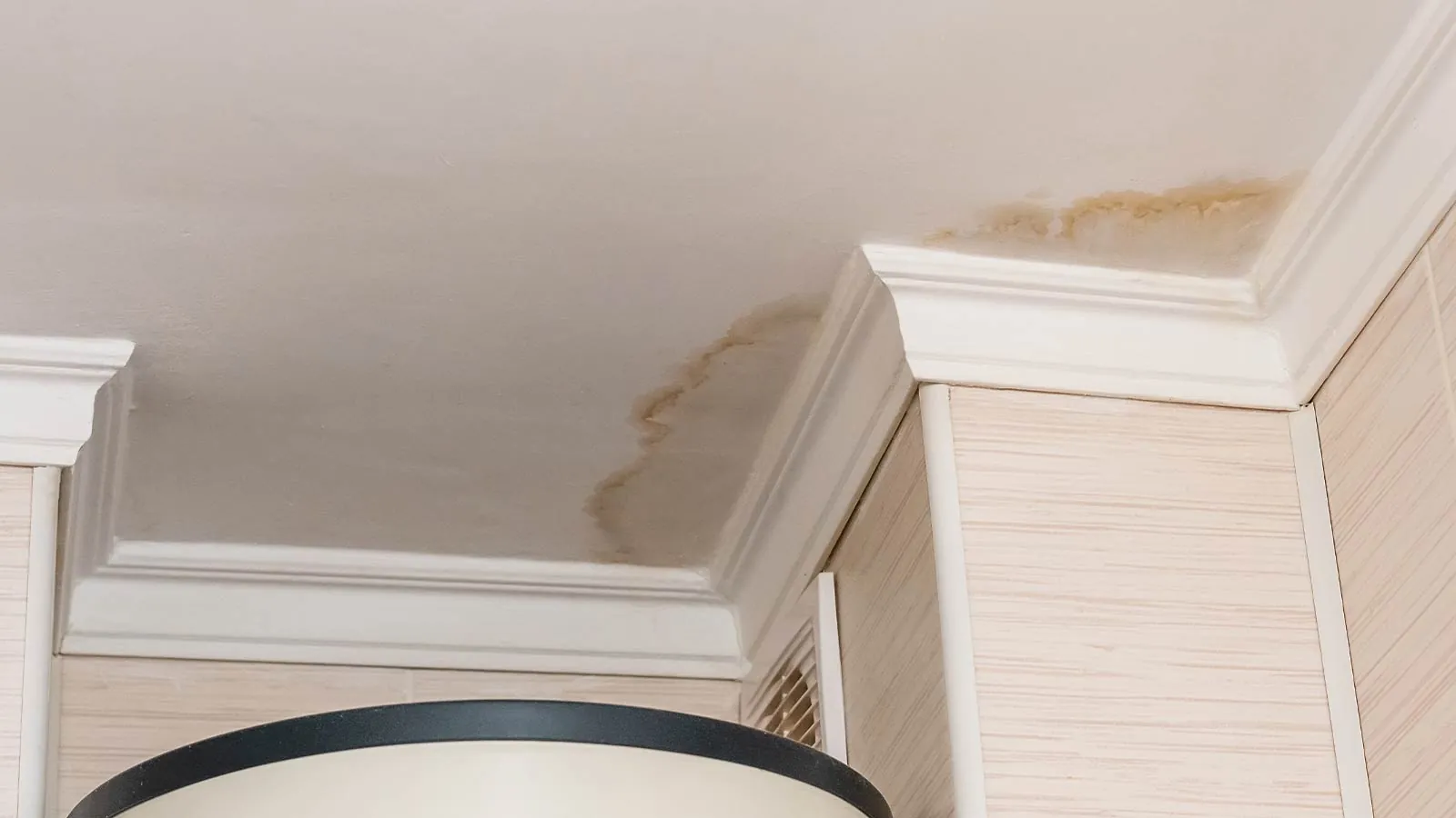 Roof Leaks: How a Ceiling Wet Spot Reveals Hidden Issues
