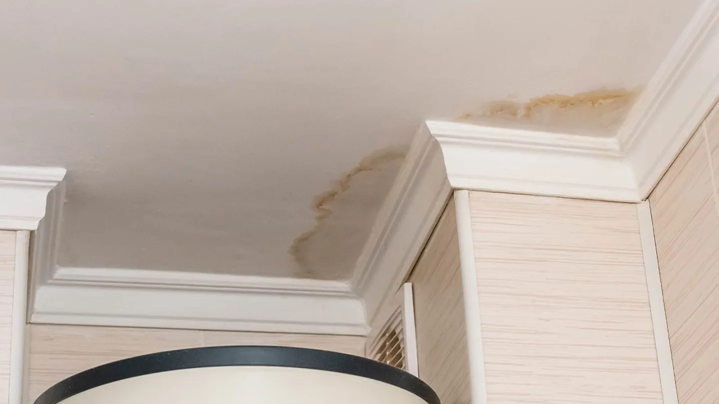 leaky-roof