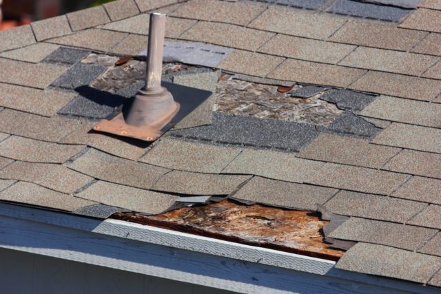 If your shingle roof looks like this, your roof is already far gone and you need to call us right away for roof replacement.