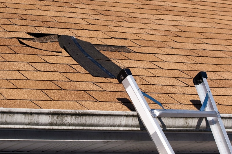 Signs of roof damage on a shingle roof include torn or missing shingles.