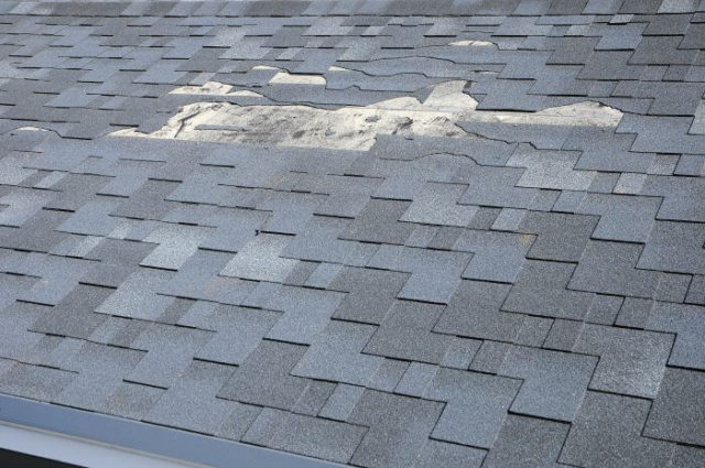 If your roof has significant damage like this one, it might be time to replace your shingle roof.